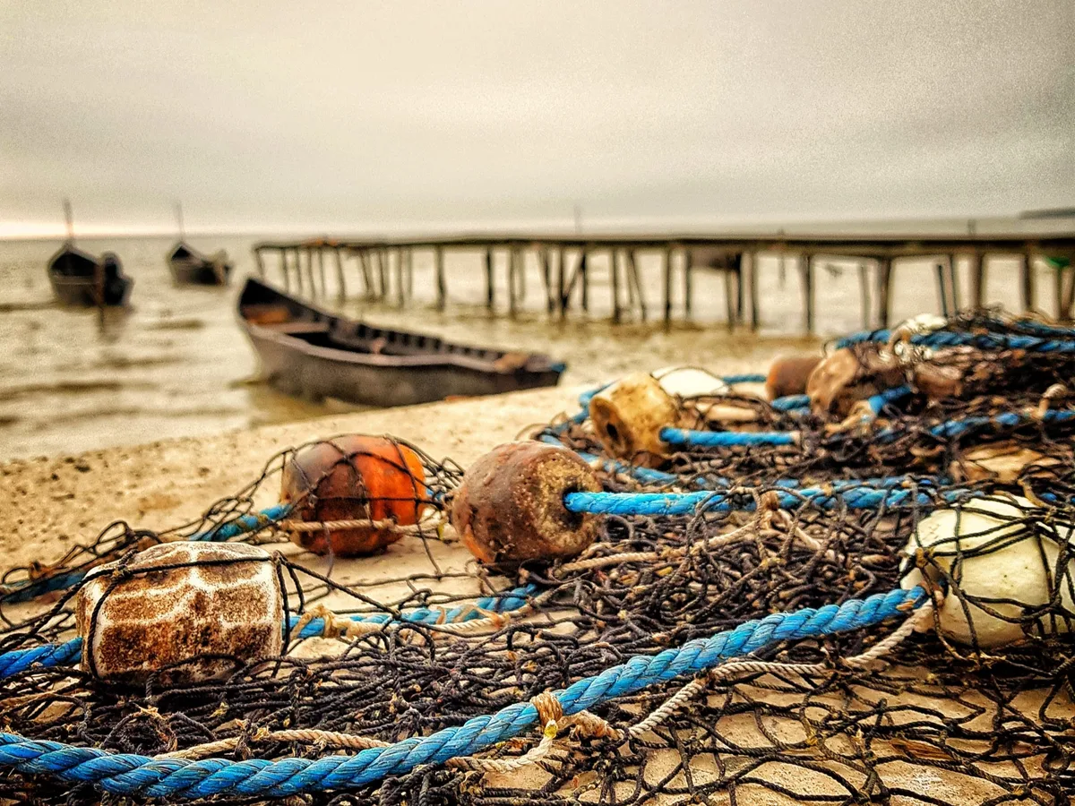 Plase de pescuit pe malul Dunării, în Delta Dunării.
