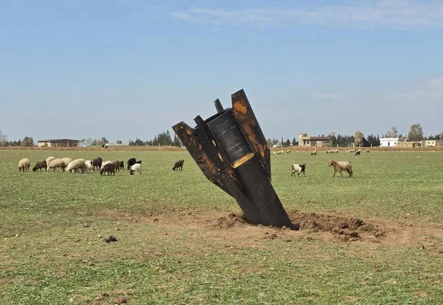 Racheta iraniană înfiptă în pământ, cu oi păscând în apropiere.