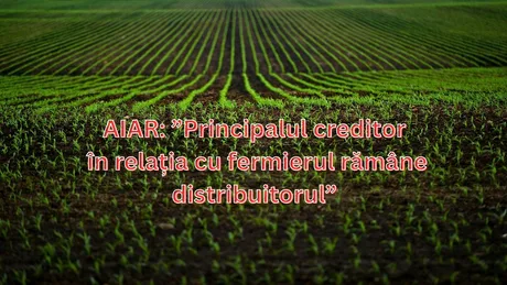 Câmp de culturi agricole cu rânduri de plante verzi în primăvară.