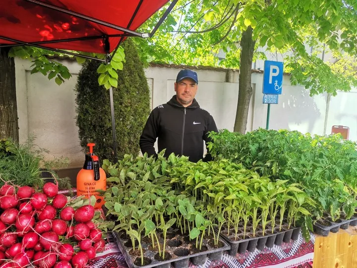 Fermier din Oltenia vânzând răsaduri de legume la piață.