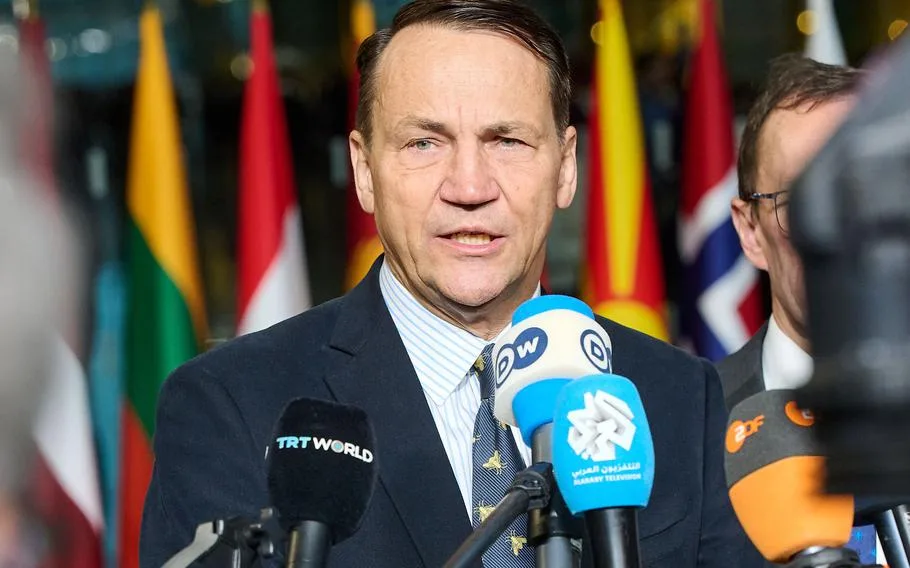 Radoslaw Sikorski discută despre securitatea Poloniei în contextul NATO.