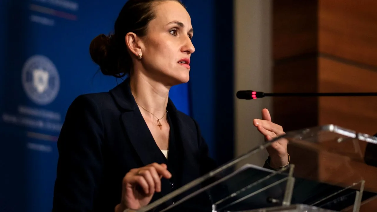 Oana Țoiu susține un discurs despre tensiunile din Orientul Mijlociu.