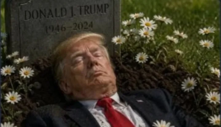 Donald Trump întins lângă o piatră funerară, înconjurat de margarete.