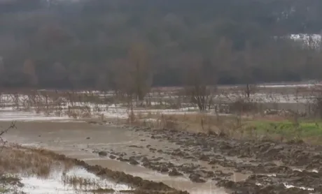 Câmp inundat în sudul țării, cu ape stagnante și vegetație afectată.