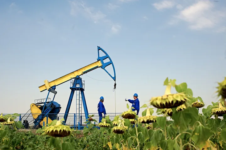 O pompă de țiței în câmpul de floarea-soarelui, cu muncitori la lucru.