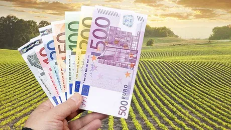 Bancnote euro pe fundal de câmp agricol verde la apus.