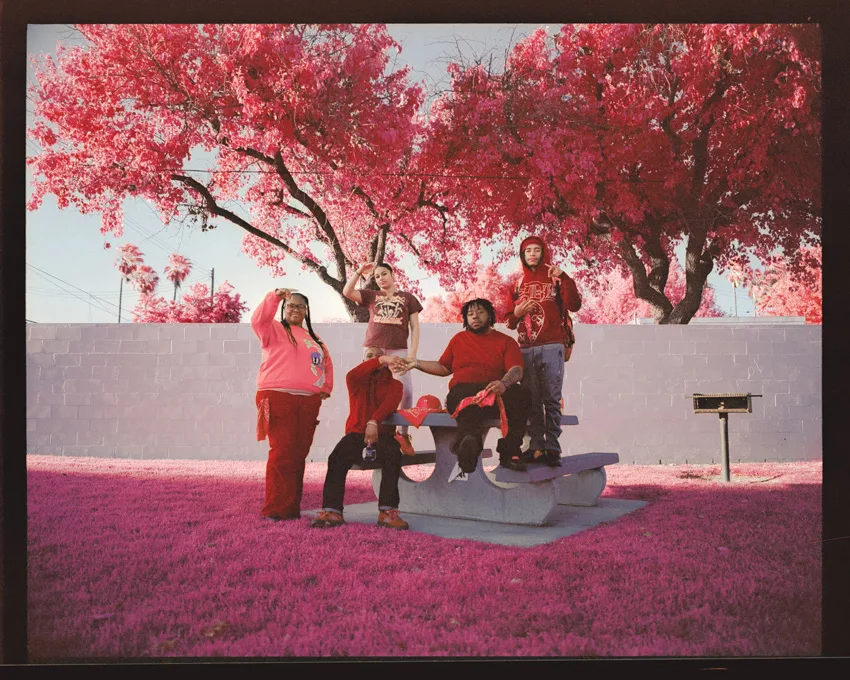 Grup de persoane îmbrăcate în roșu, pe un gazon roz.