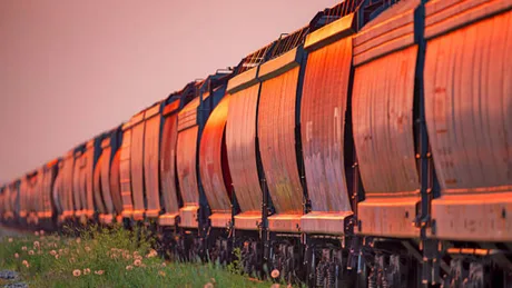 Vagoane de transport cereale pe calea ferată, pregătite pentru export.