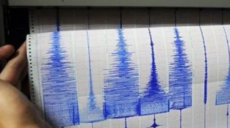 Graficele seismice ilustrează activitatea tectonică din zona Vrancea.