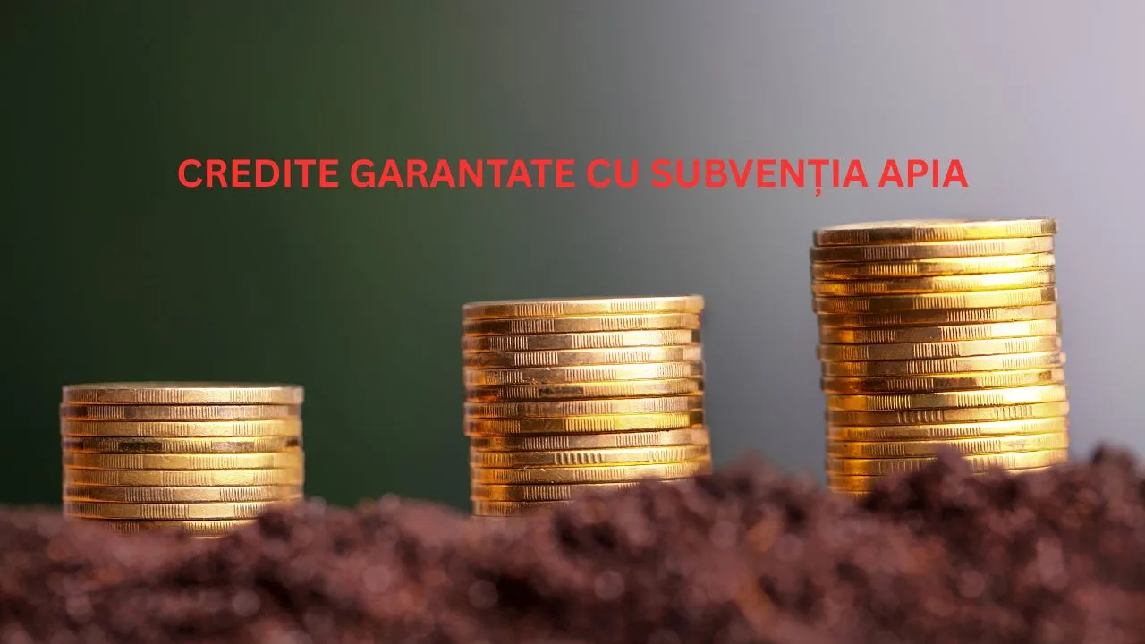 Monede aurii simbolizând creditele garantate pentru fermieri.