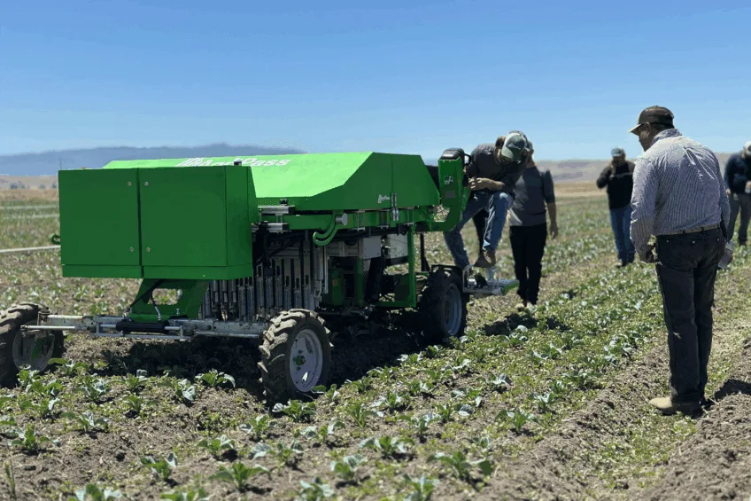 Robot de plivit în câmp, utilizat pentru îndepărtarea buruienilor în mod eficient.