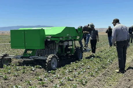 Robot de plivit în câmp, utilizat pentru îndepărtarea buruienilor în mod eficient.