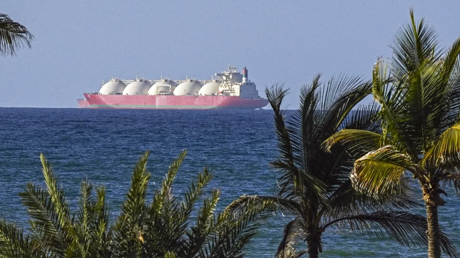 Nava de transport maritim pe fundalul mării și palmierilor.