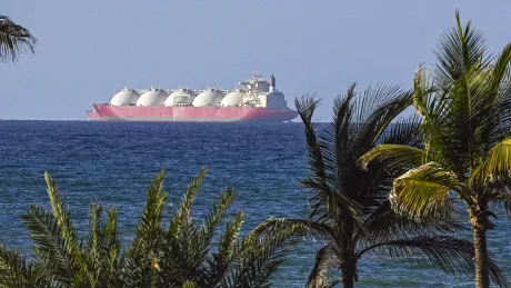 Nava de transport maritim pe fundalul mării și palmierilor.