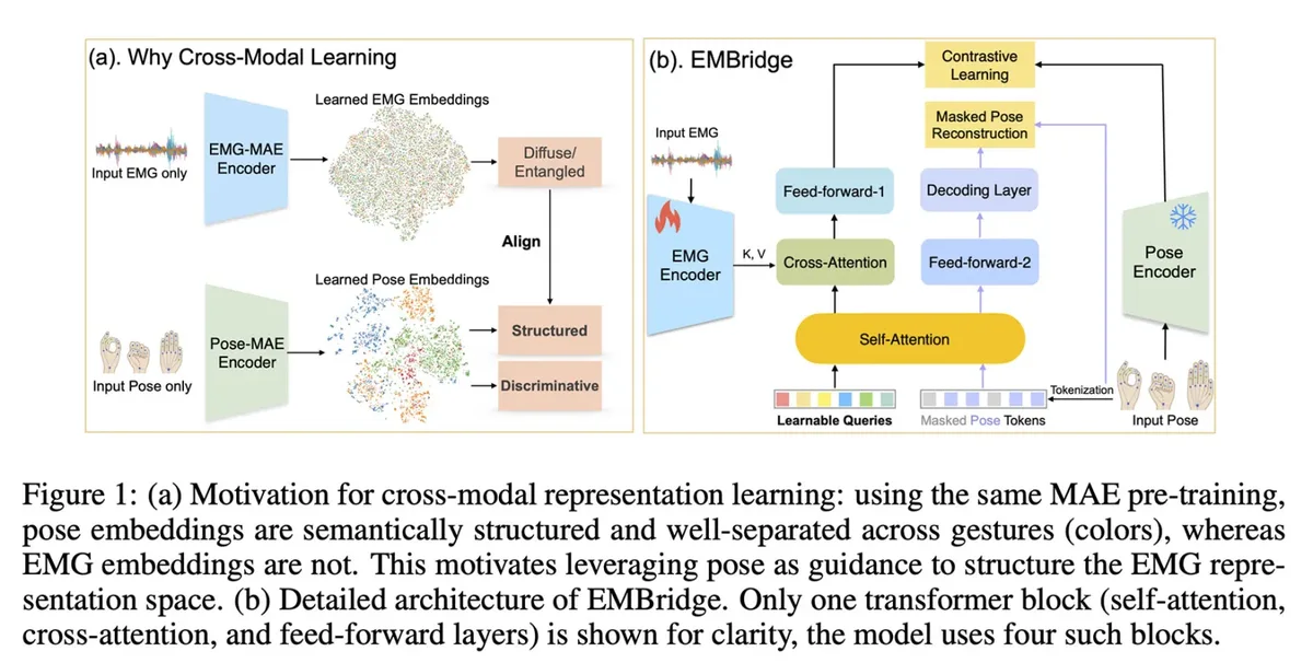 Schema modelului EMBridge pentru recunoașterea gesturilor mâinii.