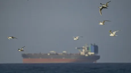 Păsări zburând deasupra unei nave cargo pe mare, în fundal.