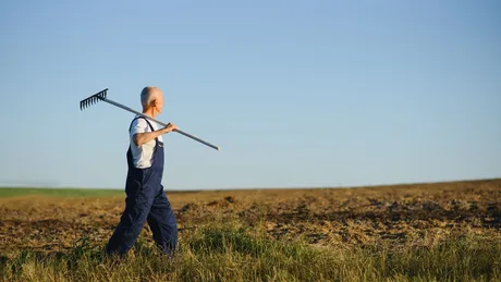 Fermier pe câmp, pregătind terenul pentru cultivare.