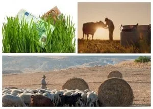 Subvenții pentru crescătorii de animale și sprijin agricol în România.