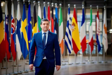 Oana Țoiu discută cu oficiali NATO în contextul securității.
