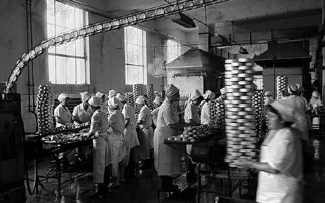 O fabrică de conserve din România, cu muncitori la linia de producție.