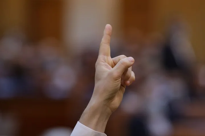 Un deget ridicat în semn de vot într-o sală de dezbateri politice.