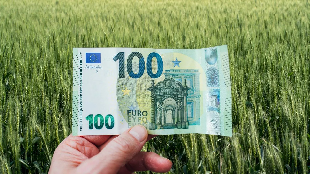 Bancnotă de 100 de euro în fața unui câmp de grâu verde.