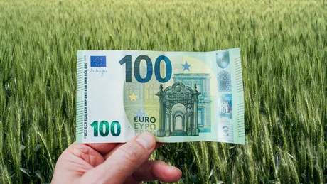 Bancnotă de 100 de euro în fața unui câmp de grâu verde.