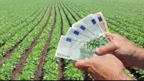 Bancnote euro în mâinile unui agricultor pe câmp.