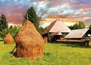 Peisaj rural cu fân și case tradiționale în fundal.