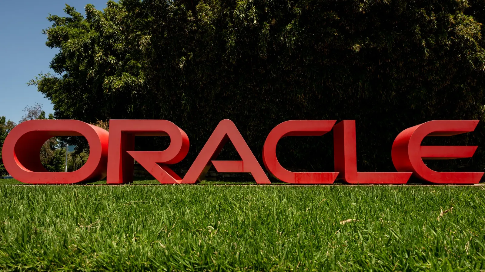Logo-ul Oracle pe un fundal verde, simbolizând inovația în tehnologie.