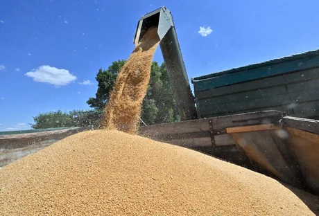 Grâu turnat dintr-un siloz într-un vehicul agricol sub cerul senin.
