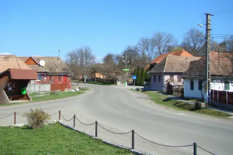 Peisaj rural din comuna Bereni, cu case tradiționale și drum asfaltat.