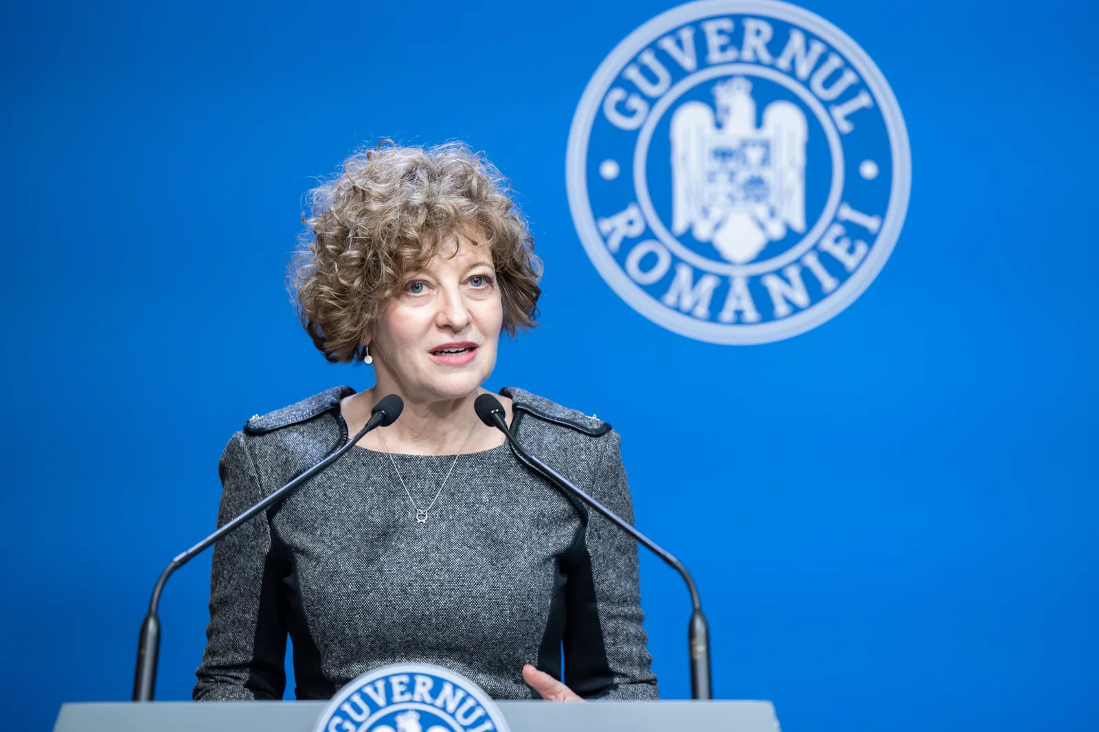 Oana Gheorghiu discută despre reformele companiilor de stat în România.