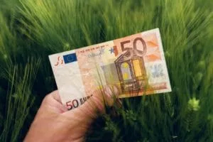 Bancnotă de 50 de euro ținută în mână pe fundal de iarbă verde.
