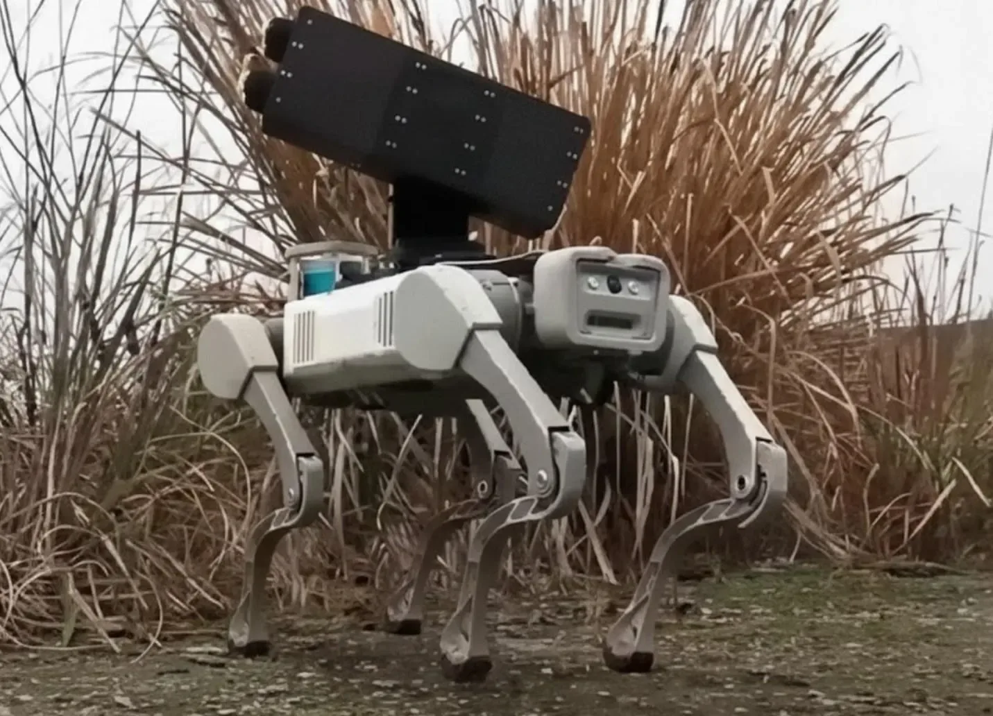 Roboți-câini autonomi testati în coordonare pentru misiuni militare complexe.