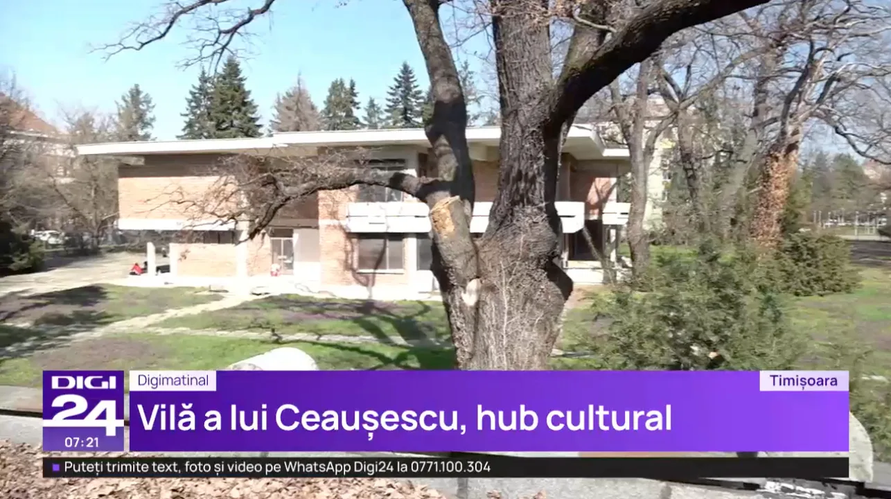 Vila de protocol din Timișoara, acum în ruină, cu vegetație abundentă.