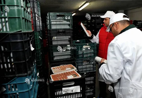 Inspectori verificând conformitatea produselor alimentare în depozit.