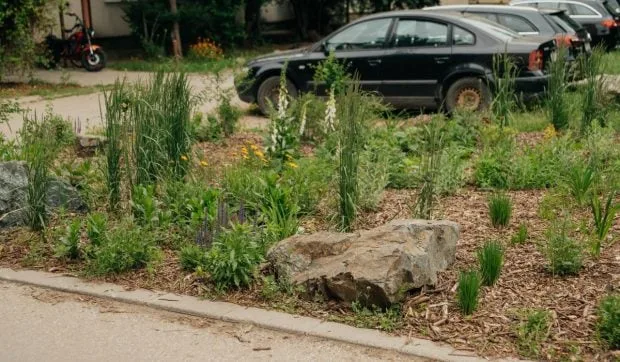 Spațiu verde afectat de bolovani, cu mașini parcate în apropiere.
