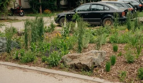 Spațiu verde afectat de bolovani, cu mașini parcate în apropiere.