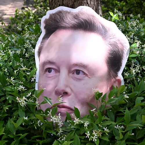 Chipul lui Elon Musk ascuns printre plante verzi.