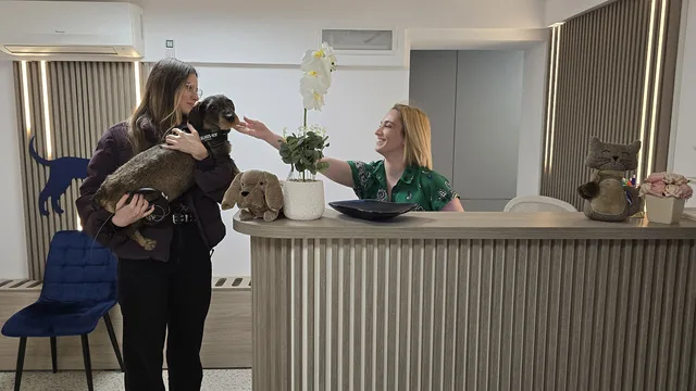 Recepția clinicii PartnerVet cu personal și animale de companie.