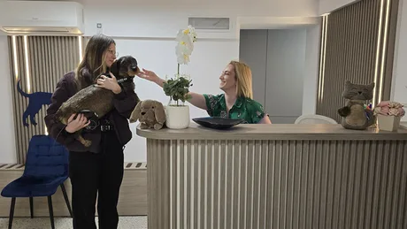Recepția clinicii PartnerVet cu personal și animale de companie.