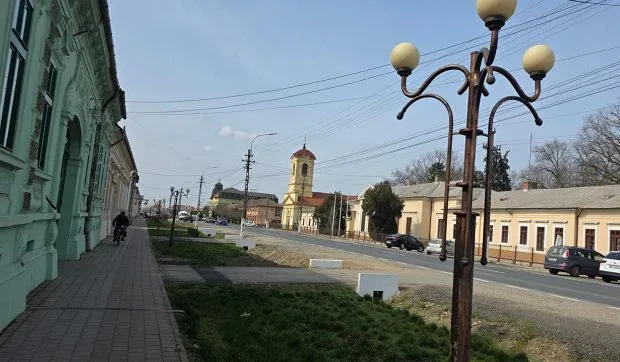 Stradă din comuna Lovrin, cu clădiri și lampadare pe margine.