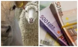 Plăți pentru fermieri și sprijin financiar în agricultură.