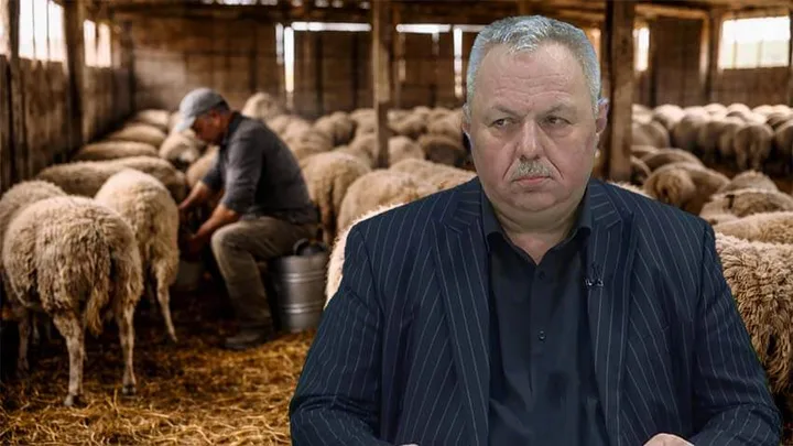 Discuții despre subvențiile APIA și condiționalitatea socială în sectorul oieritului.
