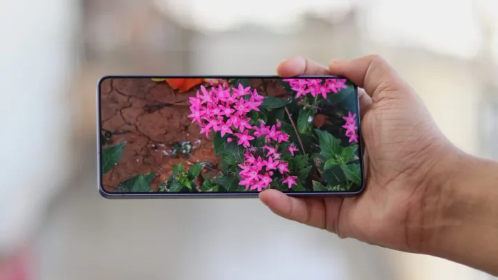 Un telefon mobil care afișează flori roz pe un fundal natural.