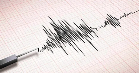 Seismograf care înregistrează mișcările seismice din Japonia.