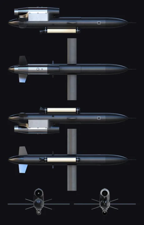 Rachete de croazieră FP-5 Flamingo, utilizate în atacuri de lungă distanță.