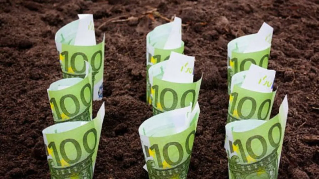 Bancnote de euro plantate în pământ, simbolizând subvenții agricole.