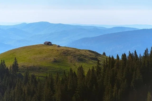 Peisaj montan cu păduri și o cabană pe un deal verde.